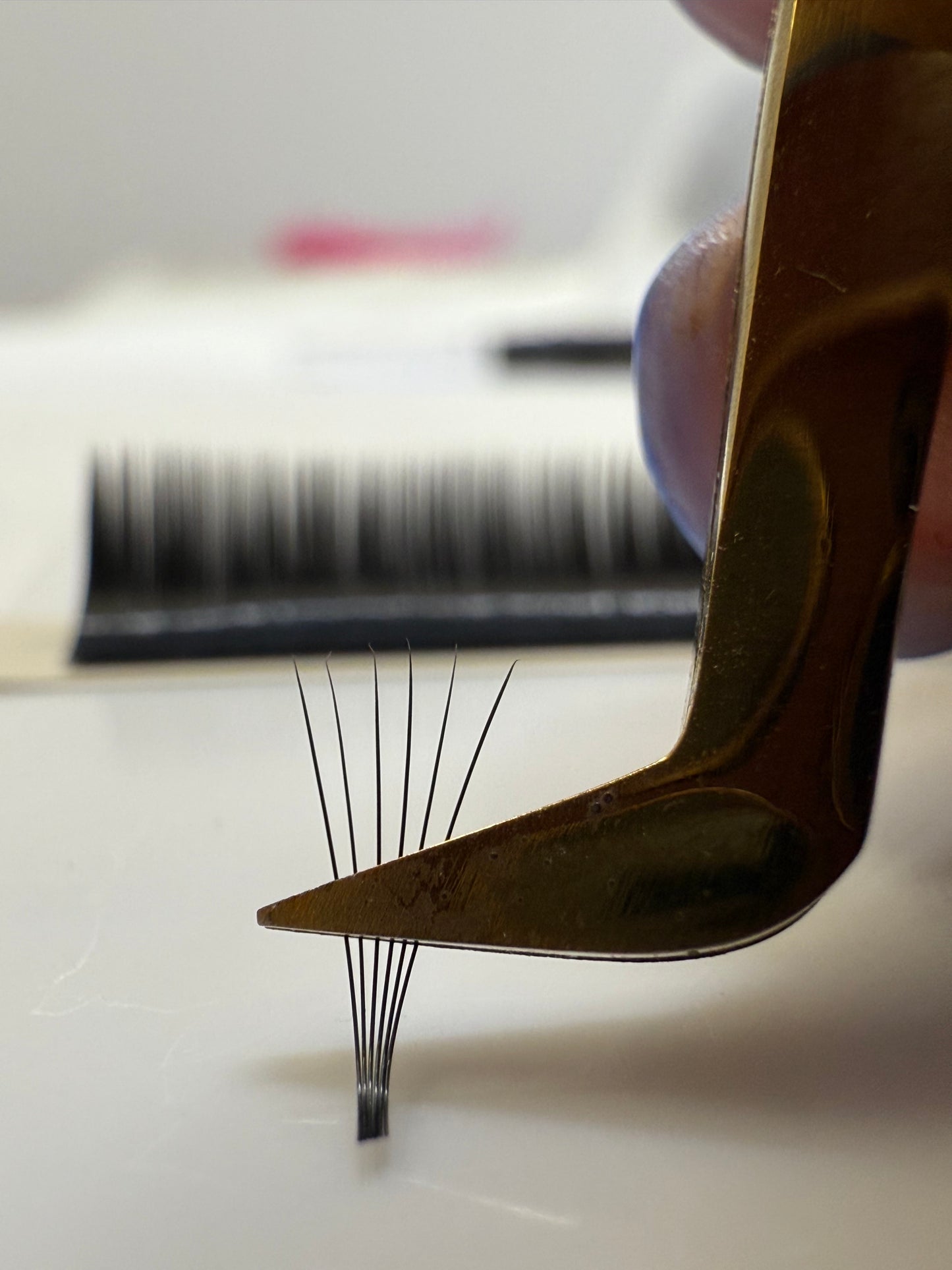 Λαβίδα Τόμος